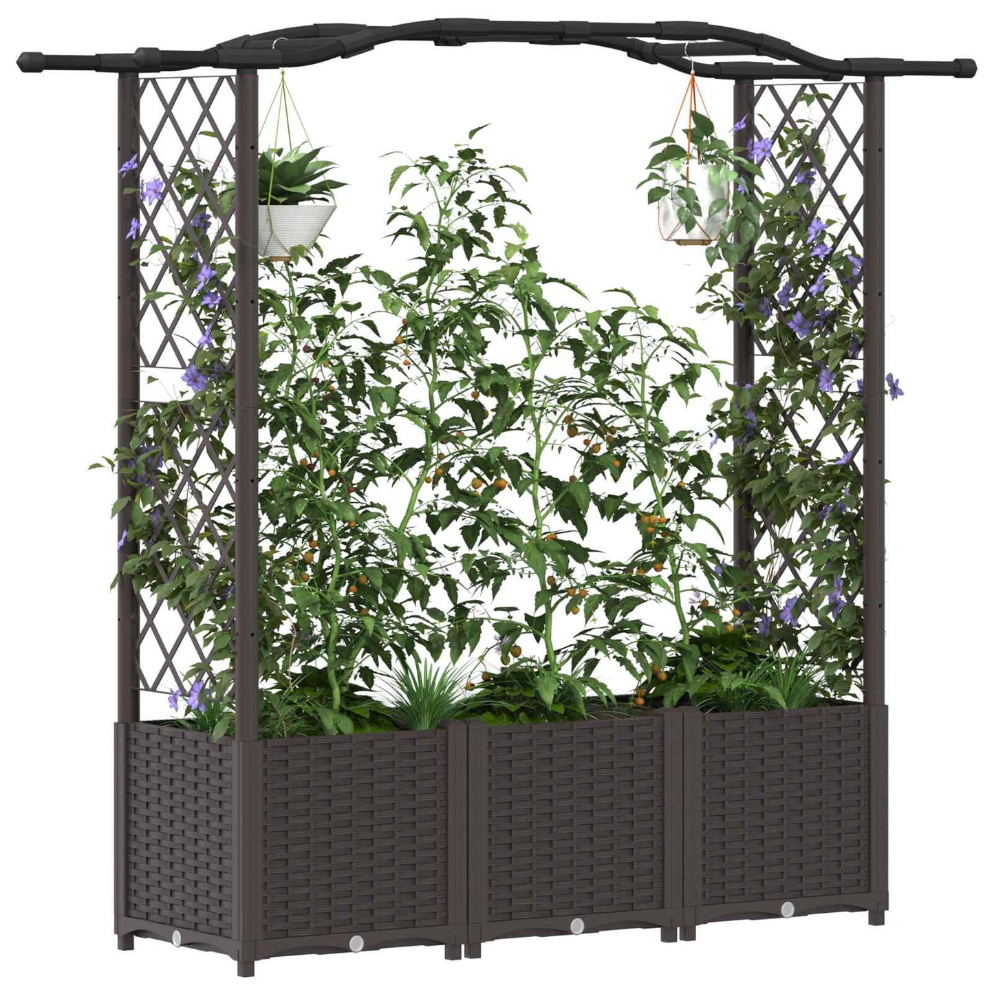 Raised Bed with Trellis and Roof Brown 164 x 40 x 138 cm PP