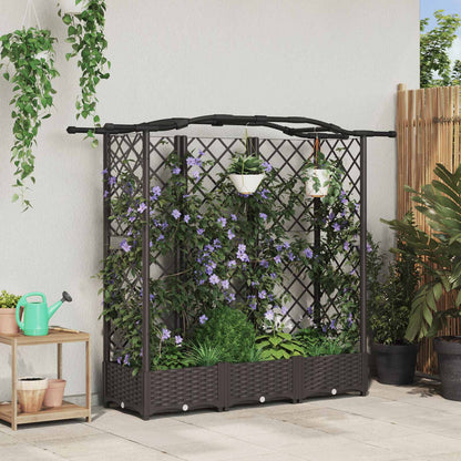 Raised Bed with Trellis and Roof Brown 163 x 40 x 123 cm PP