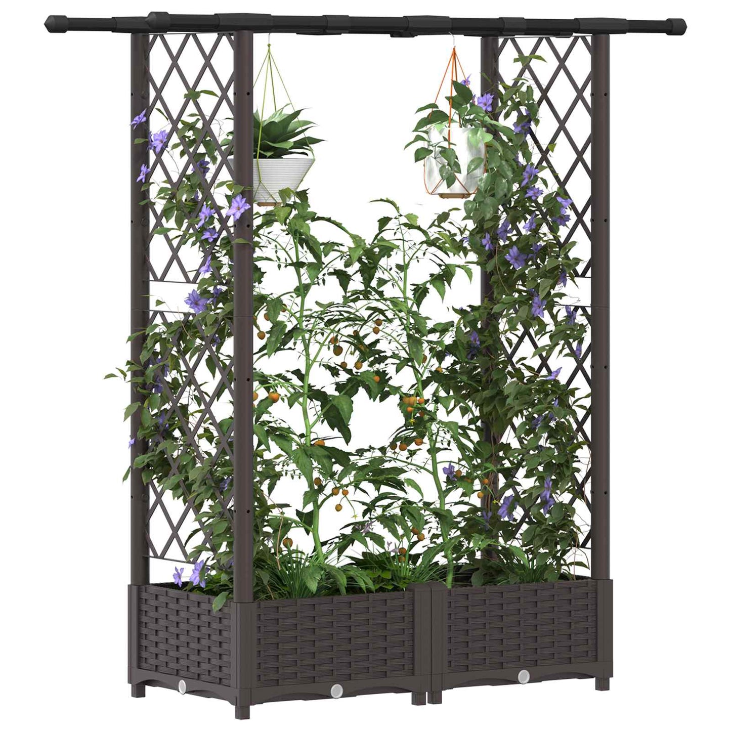 Raised Bed with Trellis and Roof Brown 122.5 x 40 x 121 cm PP