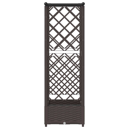 Raised Bed with Trellis and Roof Brown 122.5 x 40 x 121 cm PP