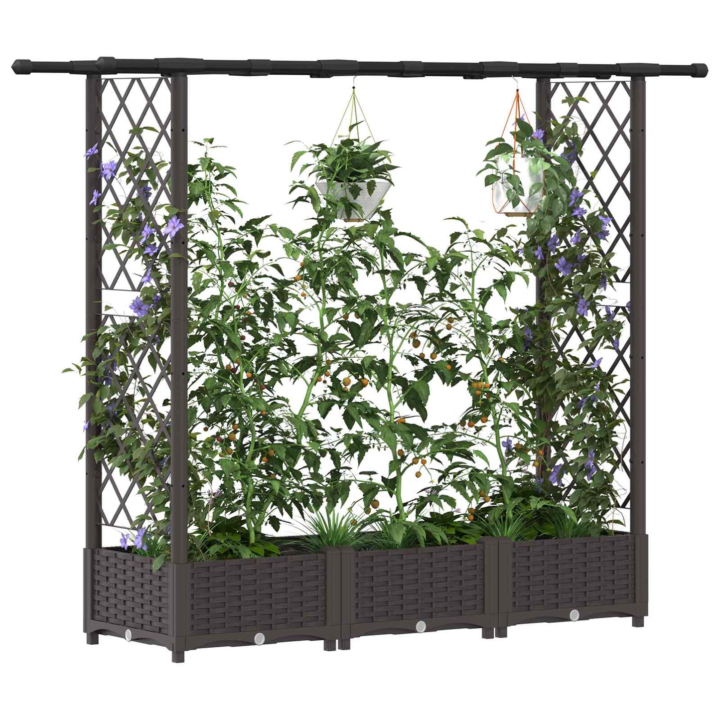 Raised Bed with Trellis and Roof Brown 164 x 40 x 121 cm PP
