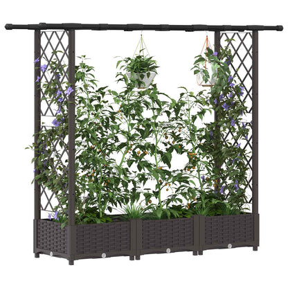 Raised Bed with Trellis and Roof Brown 164 x 40 x 121 cm PP