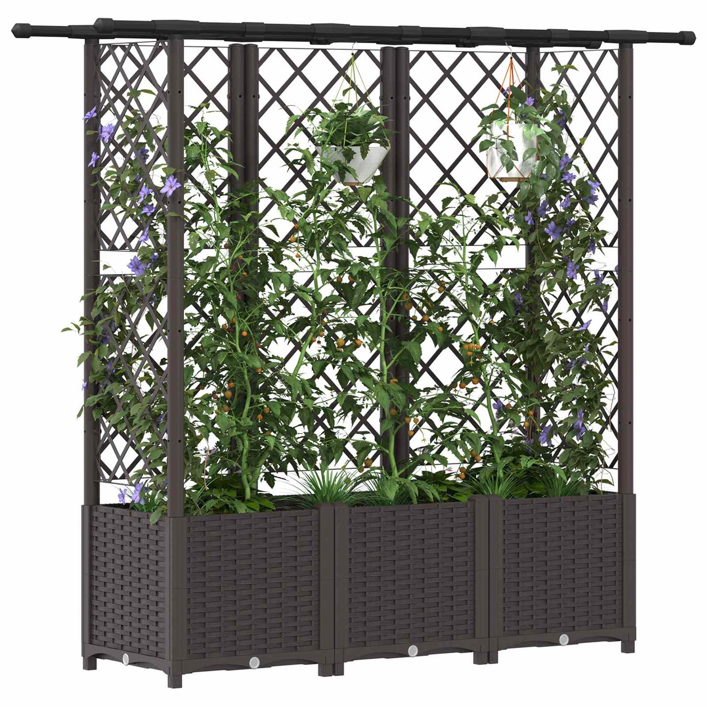 Raised Bed with Trellis and Roof Brown 162.5 x 40 x 136 cm PP
