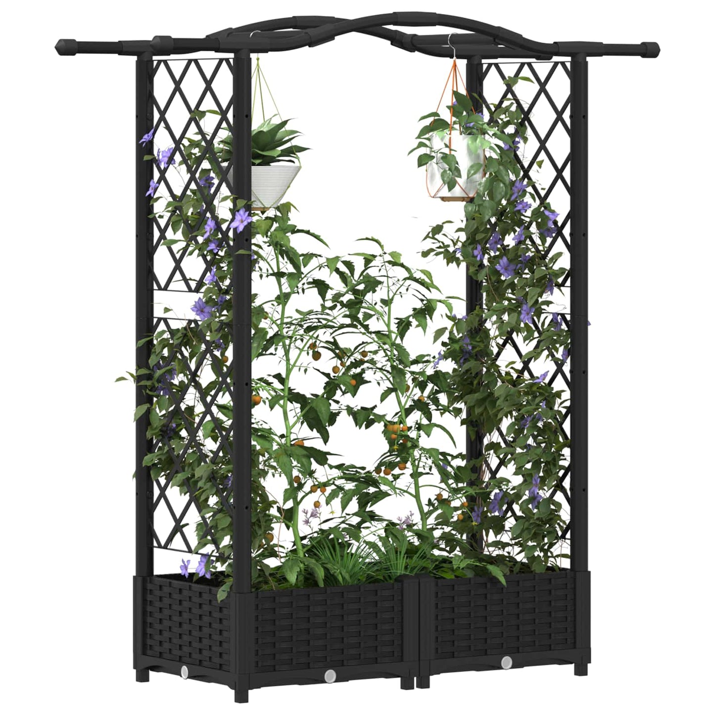 Raised Bed with Trellis and Roof Black 124 x 40 x 123 cm PP
