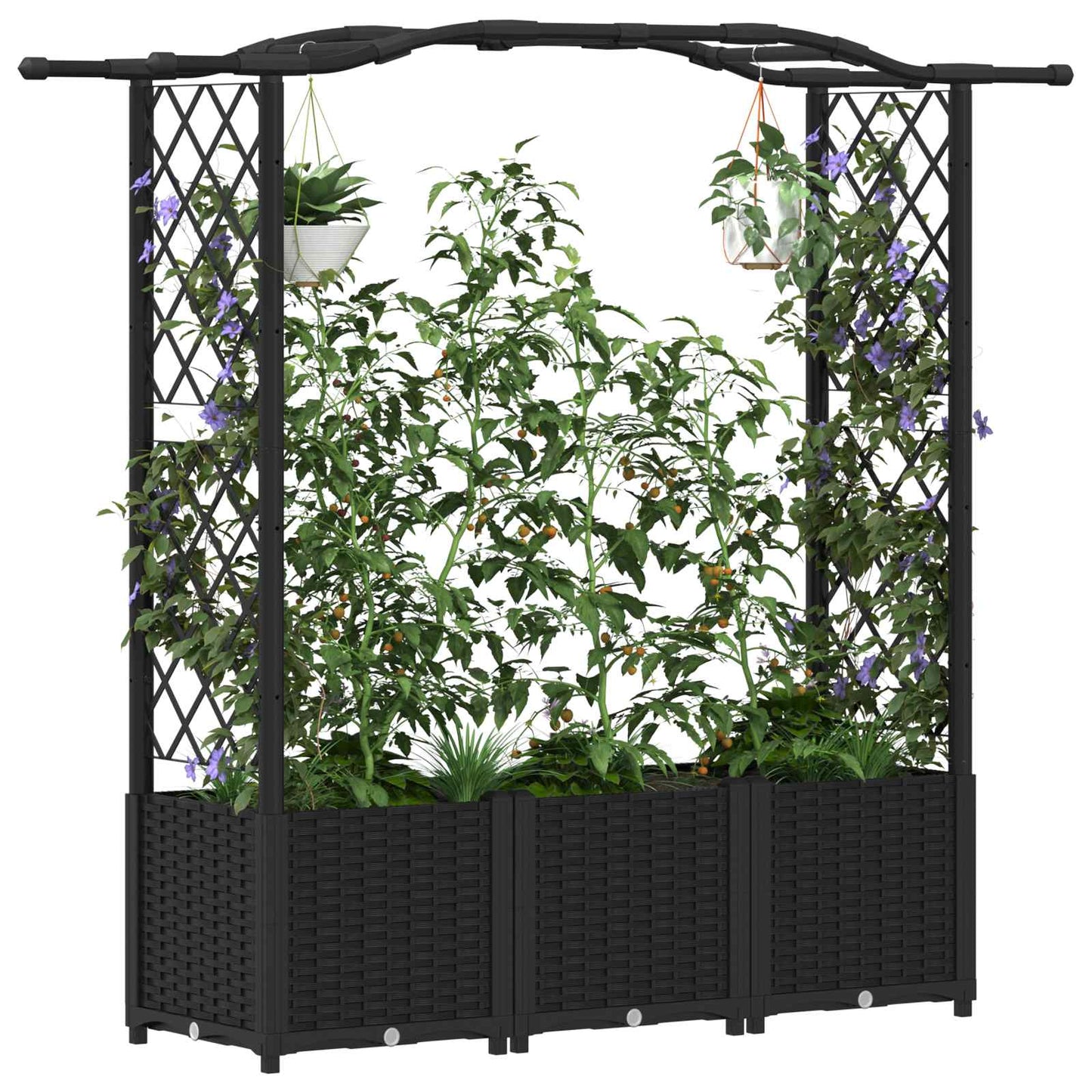 Raised Bed with Trellis and Roof Black 164 x 40 x 138 cm PP