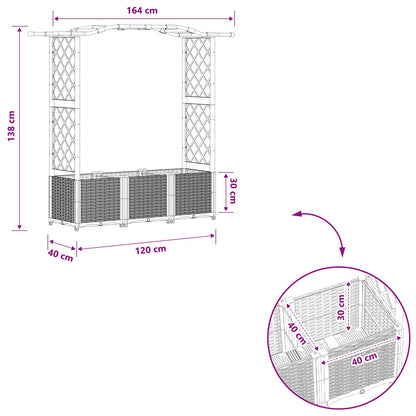 Raised Bed with Trellis and Roof Black 164 x 40 x 138 cm PP