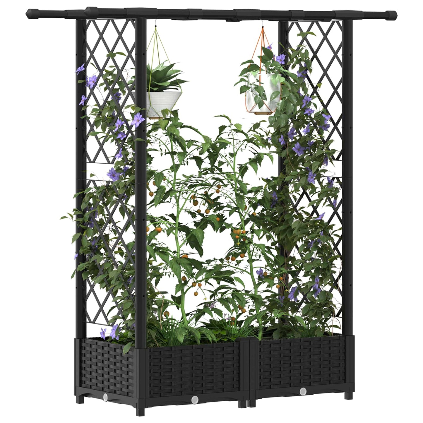 Raised Bed with Trellis and Roof Black 122.5 x 40 x 121 cm PP