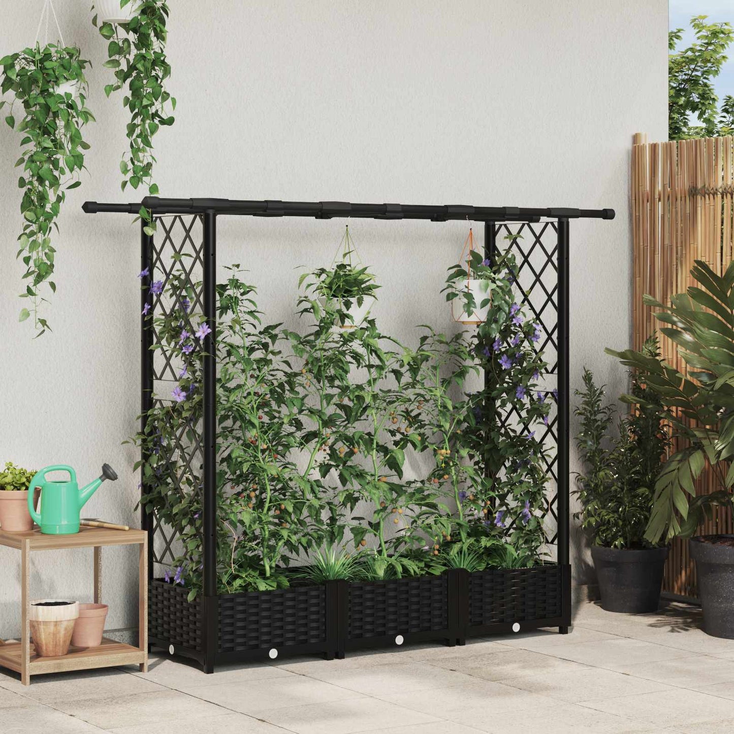 Raised Bed with Trellis and Roof Black 164 x 40 x 121 cm PP