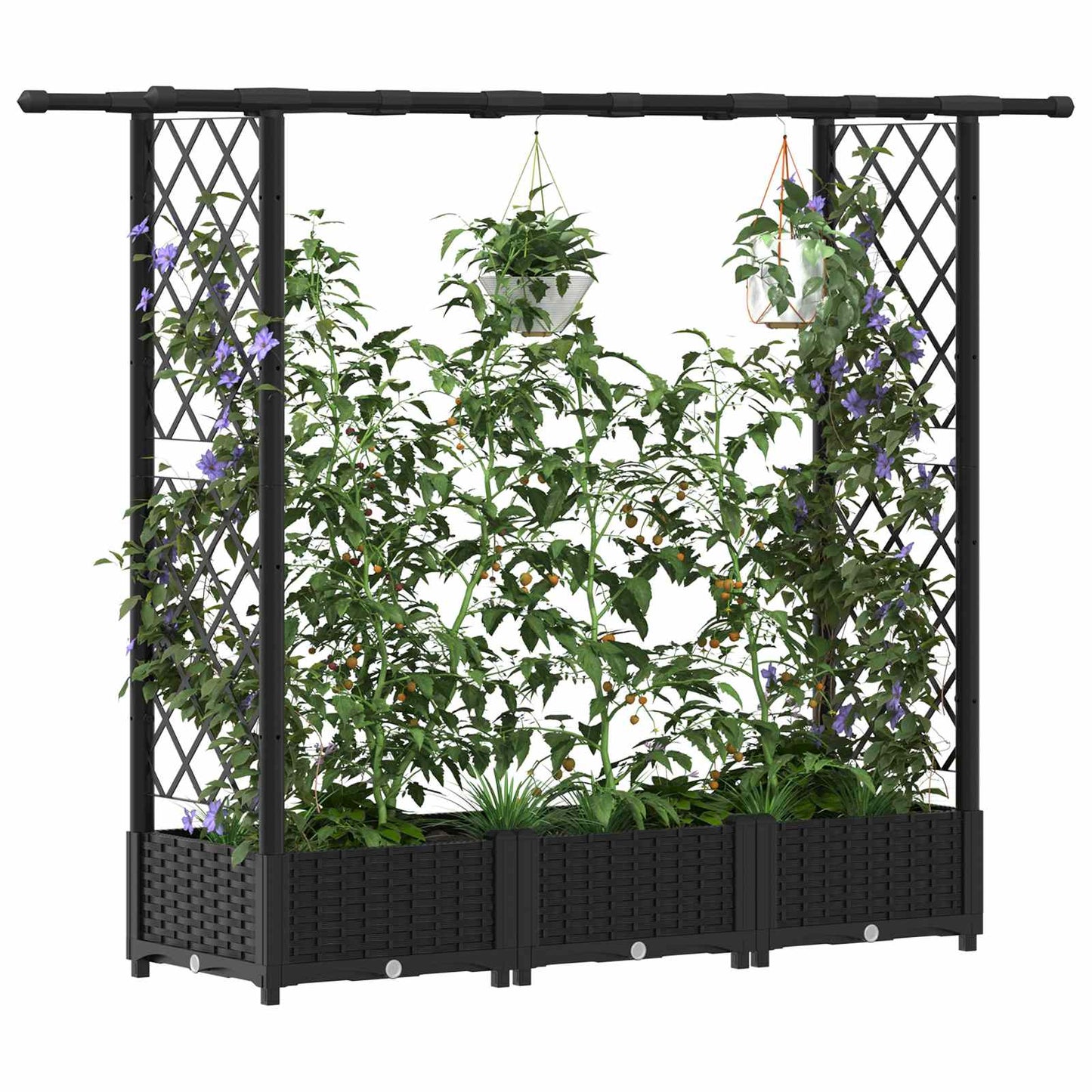 Raised Bed with Trellis and Roof Black 164 x 40 x 121 cm PP
