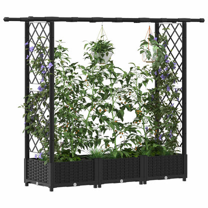 Raised Bed with Trellis and Roof Black 164 x 40 x 121 cm PP