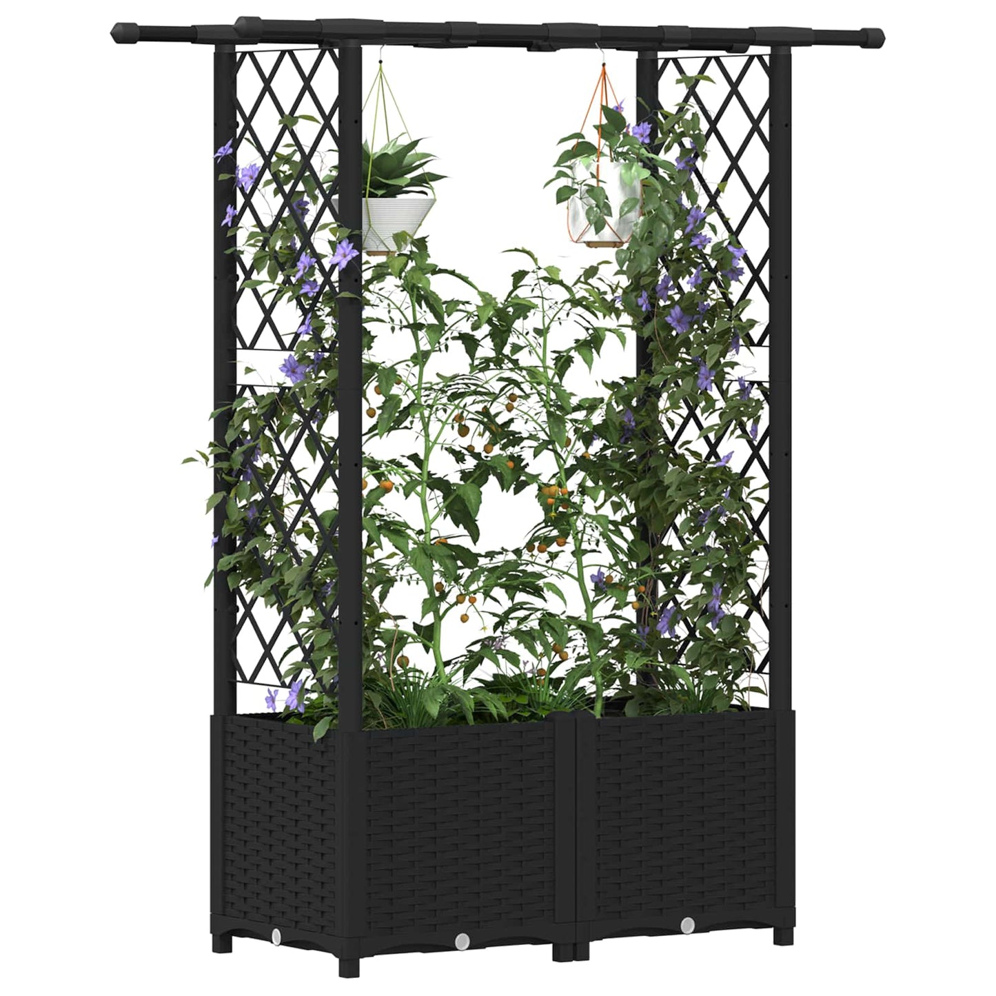 Raised Bed with Trellis and Roof Black 124.5 x 40 x 136 cm PP