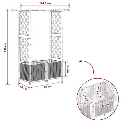Raised Bed with Trellis and Roof Black 124.5 x 40 x 136 cm PP