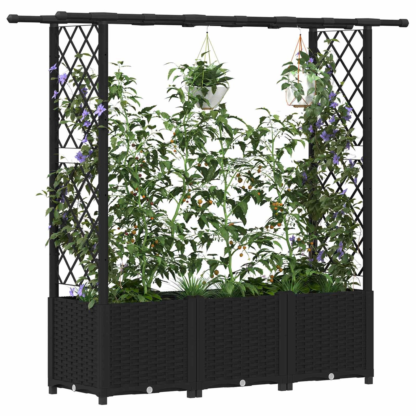 Raised Bed with Trellis and Roof Black 162.5 x 40 x 136 cm PP