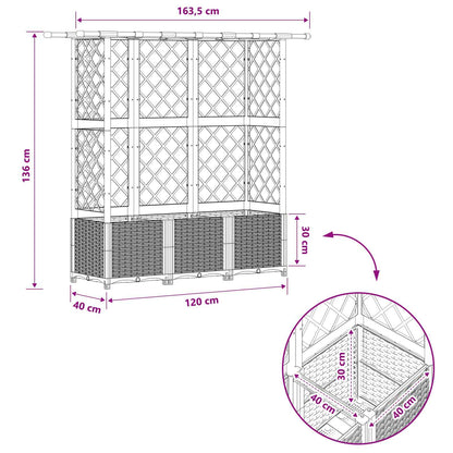 Raised Bed with Trellis and Roof Black 163.5 x 40 x 136 cm PP