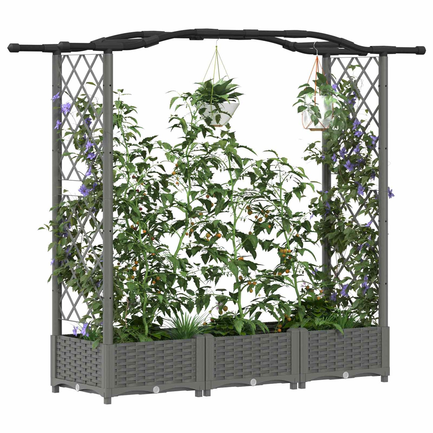 Raised Bed with Trellis and Roof Light Grey 169 x 40 x 123 cm