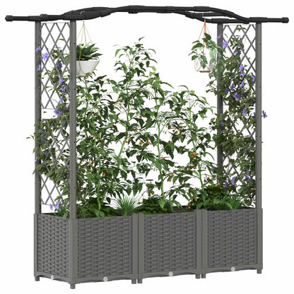 Raised Bed with Trellis and Roof Light Grey 164 x 40 x 138 cm