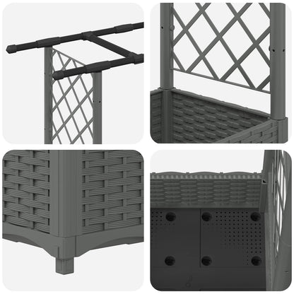 Raised Bed with Trellis and Roof Light Grey 203 x 40 x 121 cm