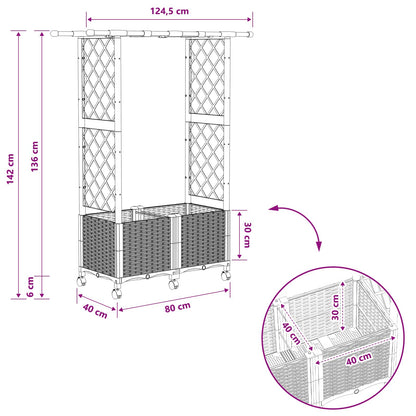 Raised Bed with Trellis and Roof Black 124.5 x 40 x 142 cm PP