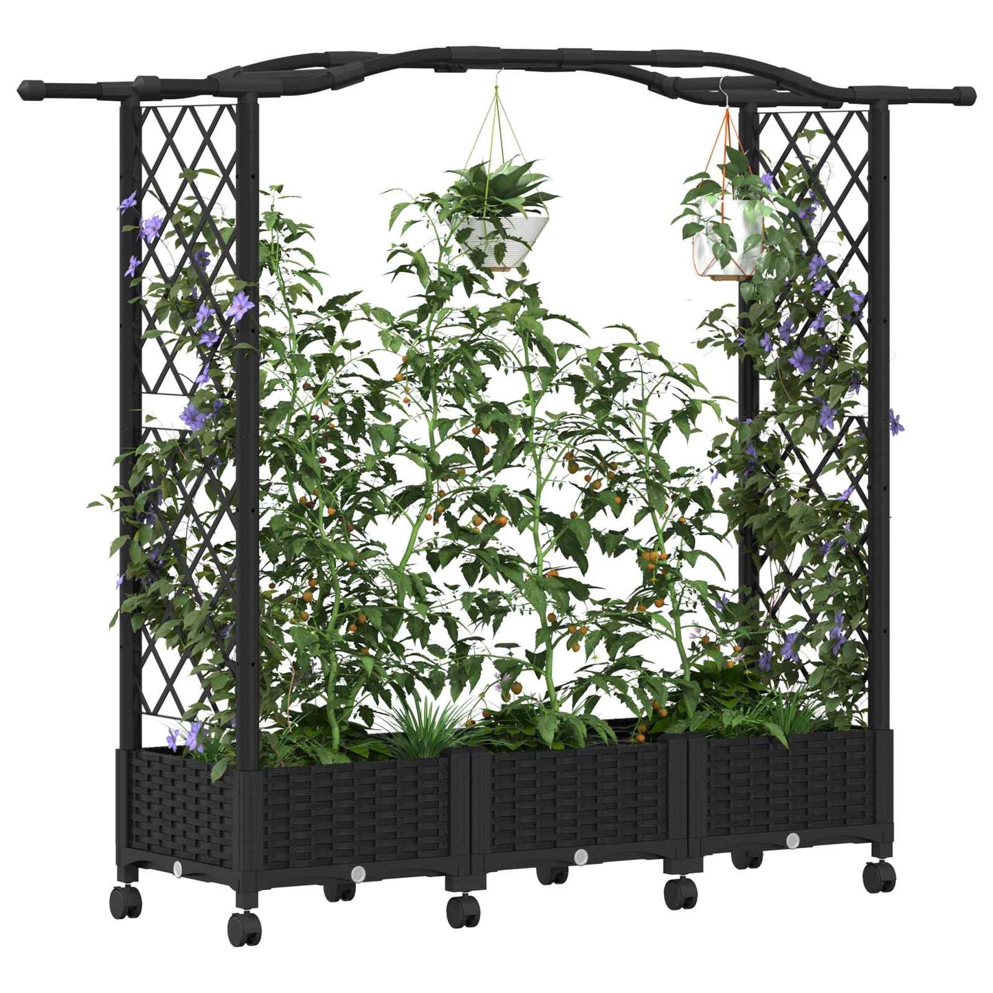 Raised Bed with Trellis and Roof Black 169 x 40 x 129 cm PP