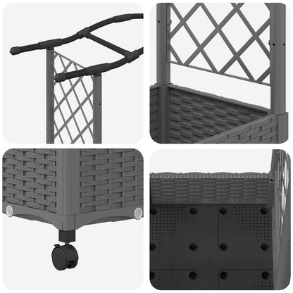 Raised Bed with Trellis and Roof Light Grey 207 x 40 x 129 cm