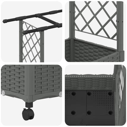 Raised Bed with Trellis and Roof Light Grey 203 x 40 x 127 cm