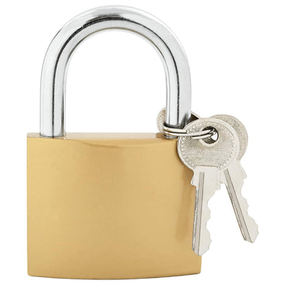 U Lock with Keys 50 pcs Brass Iron