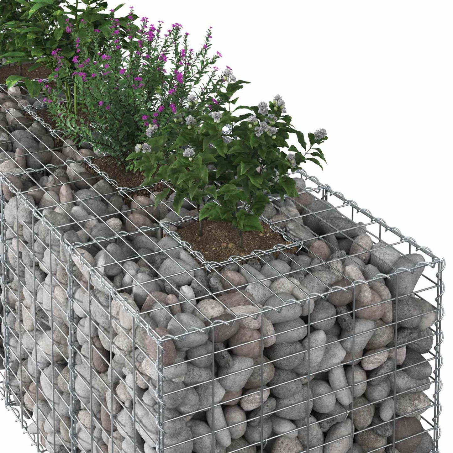 Gabion Raised Bed Silver