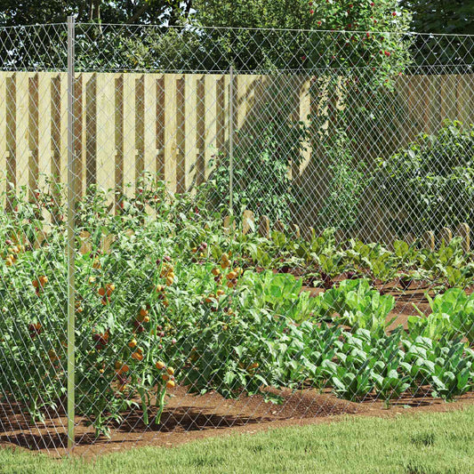 Chain Link Fence 2 x 10 m Glass Galvanised
