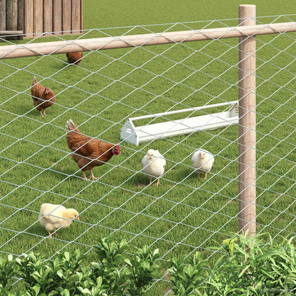 Chain Link Fence Galvanised 2 x 10 m Glass