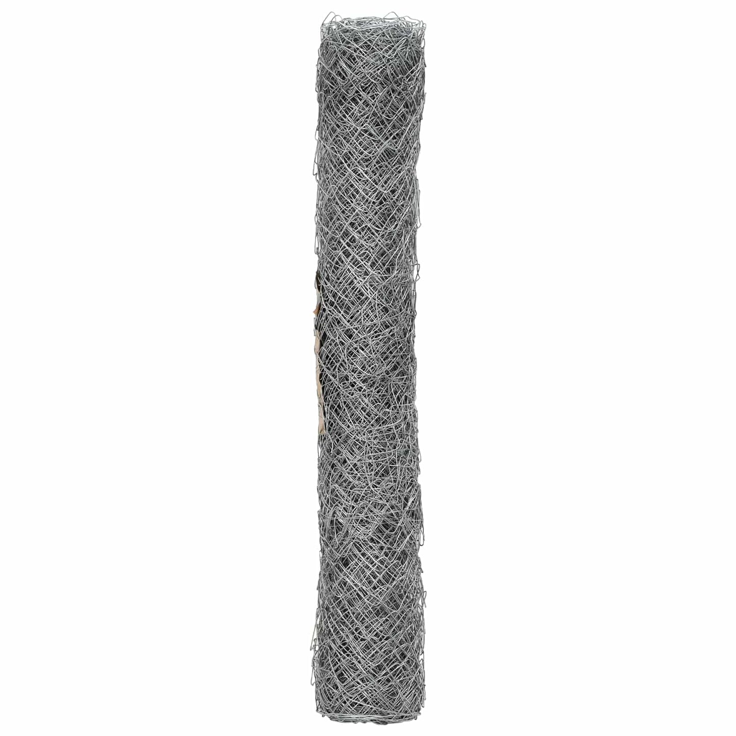Chain Link Fence Galvanised 2 x 10 m Glass