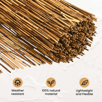 Garden Fence Carbonized 300 x 100 cm Reed