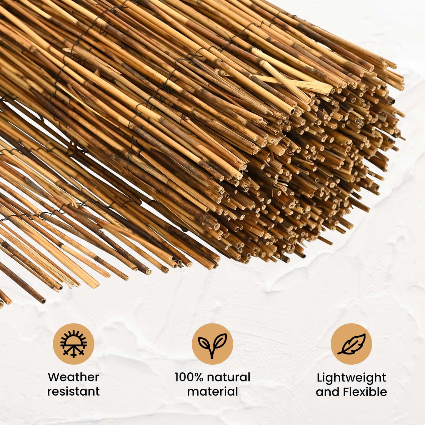 Garden Fence Carbonized 300 x 90 cm Reed