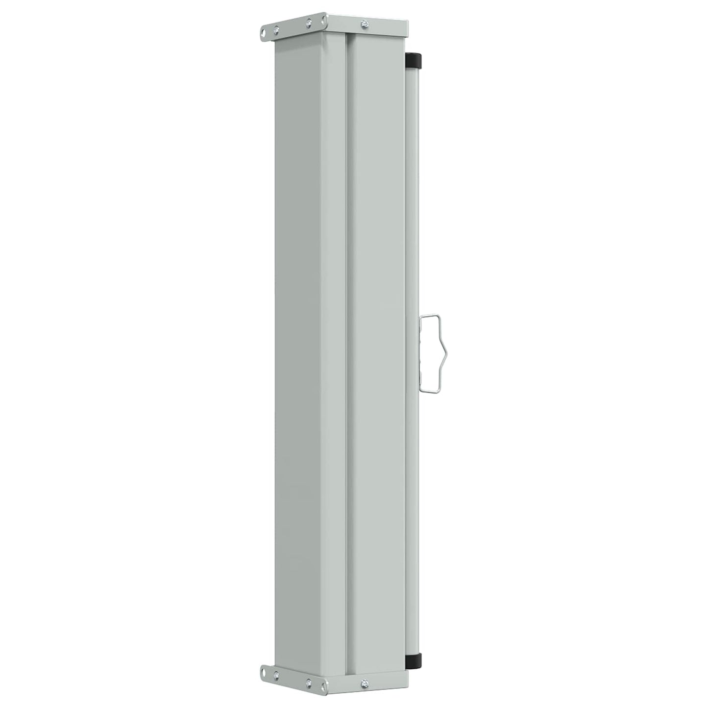 Side Awning 100 x 300 cm 100% polyester iron steel Rectangular
