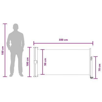 Side Awning 100 x 300 cm 100% polyester iron steel Rectangular