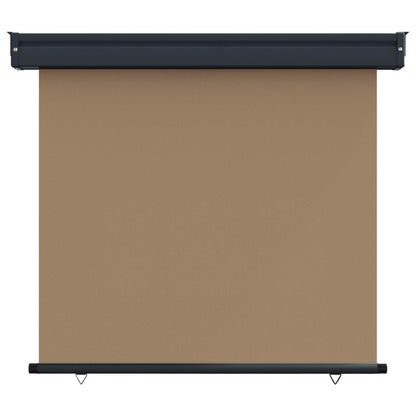 Balcony Side Awning 60 x 250 cm 100% polyester iron steel Taupe