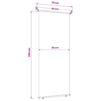 Balcony Side Awning 60 x 250 cm 100% polyester iron steel Taupe