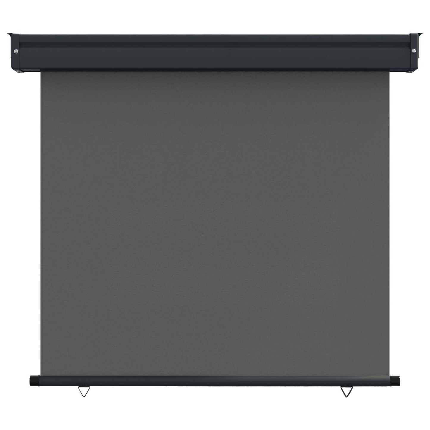 Balcony Side Awning 80 x 250 cm 100% polyester iron steel