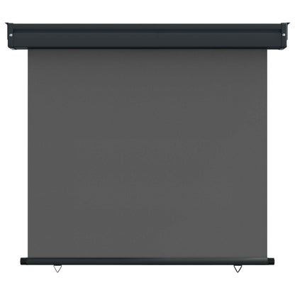 Balcony Side Awning 80 x 250 cm 100% polyester iron steel