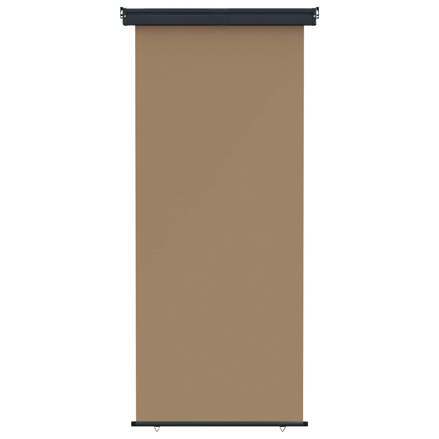 Balcony Side Awning 100 x 250 cm 100% polyester iron steel