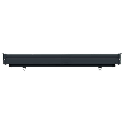 Balcony Side Awning 100 x 250 cm 100% polyester iron steel