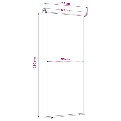 Balcony Side Awning 100 x 250 cm 100% polyester iron steel