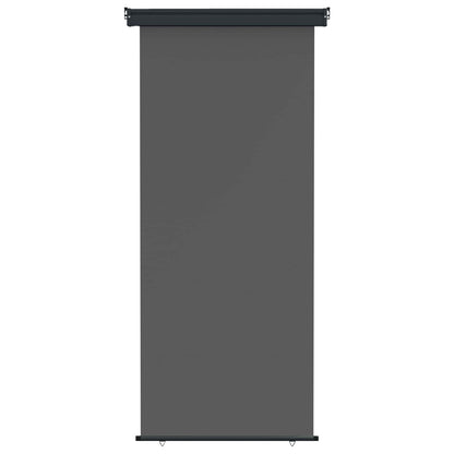 Balcony Side Awning 100 x 250 cm 100% polyester iron steel
