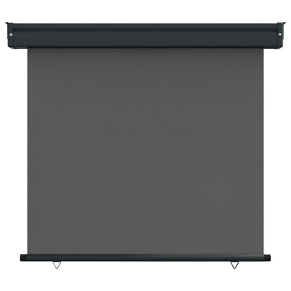 Balcony Side Awning 100 x 250 cm 100% polyester iron steel