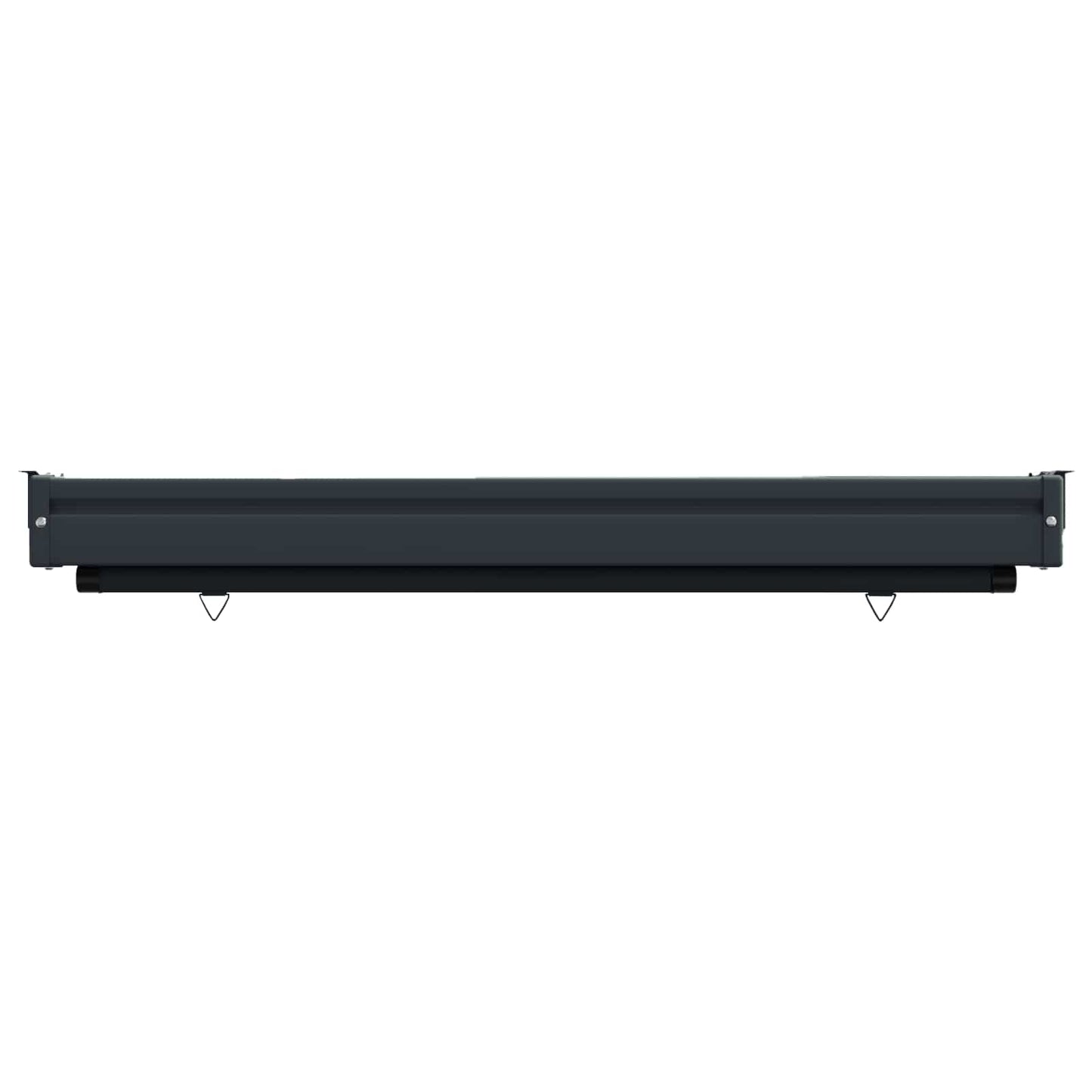 Balcony Side Awning 100 x 250 cm 100% polyester iron steel