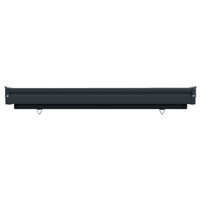 Balcony Side Awning 100 x 250 cm 100% polyester iron steel