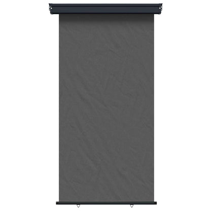 Balcony Side Awning 117 x 250 cm 100% polyester iron steel