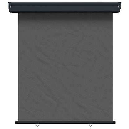 Balcony Side Awning 117 x 250 cm 100% polyester iron steel