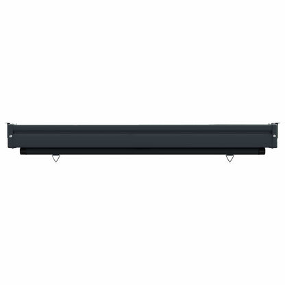Balcony Side Awning 117 x 250 cm 100% polyester iron steel