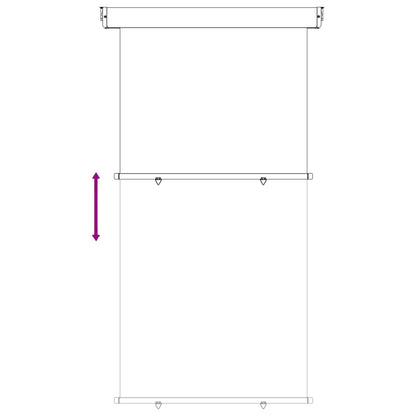 Balcony Side Awning 117 x 250 cm 100% polyester iron steel