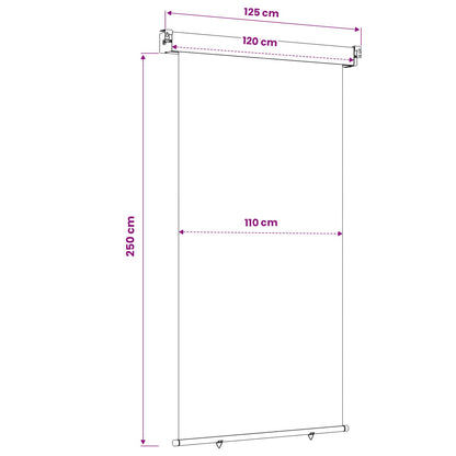 Balcony Side Awning 117 x 250 cm 100% polyester iron steel